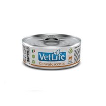 Вологий корм Farmina Cat Vet Life Convalescence дієтитчне харчування для відновлення харчування та одужання - 85 г - 85 г