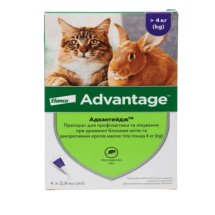 Краплі Advantage АДВАНТЕЙДЖ 80 для котів 4-8 кг від бліх - 1 шт - 1 шт
