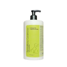 Кондиціонер Probioday DermaBona з пробіотиками - 1 л