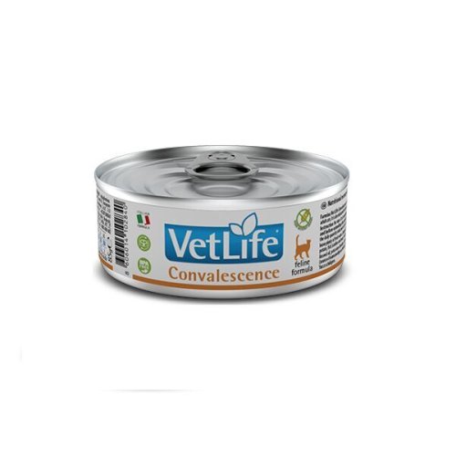 Вологий корм Farmina Cat Vet Life Convalescence дієтитчне харчування для відновлення харчування та одужання - 85 г - 85 г