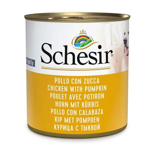 Вологий корм Schesir Dog Chicken With Pumpkin КУРКА З ГАРБУЗОМ в желе для собак - 285 г