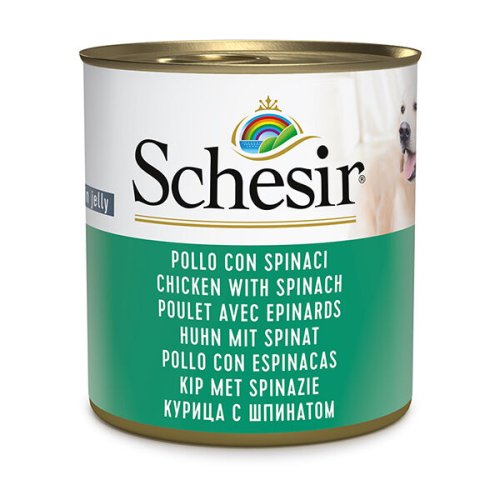 Вологий корм Schesir Dog Chicken With Spinach КУРКА ЗІ ШПИНАТОМ в желе для собак - 285 г